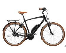 Riese & Müller Cruiser Vario